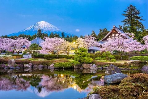 Shizuoka Eyaleti