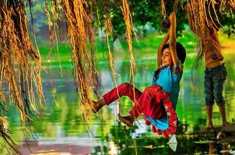 Kushtia Bölgesi