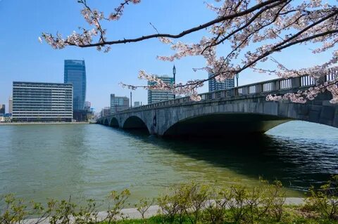 Niigata İli