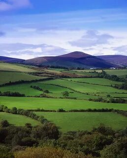Wicklow