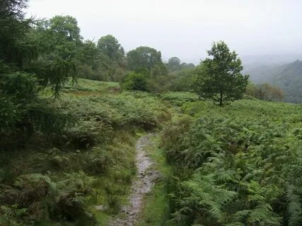 Rhondda Cynon Taf