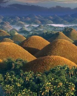 Bohol