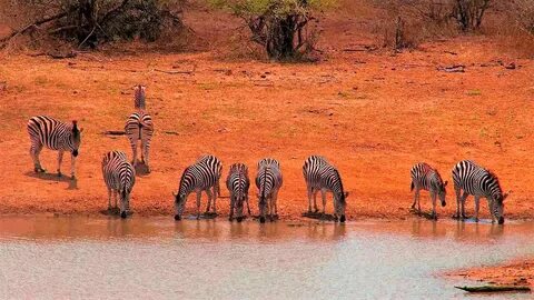 Limpopo