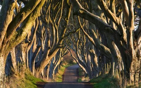 Antrim ve Newtown Manastırı