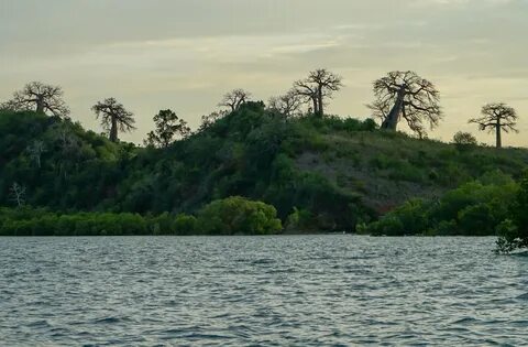 Kilifi