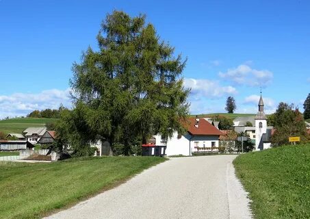 Ivančna Gorica Belediyesi