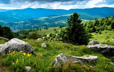 Vosges