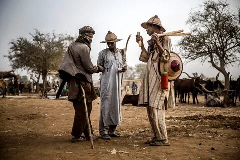 Katsina