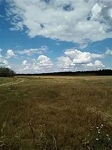 Jitomyrska bölgesi