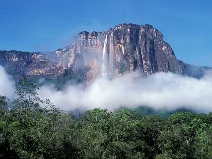 Aragua