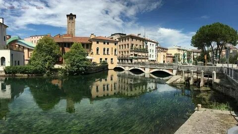 Treviso