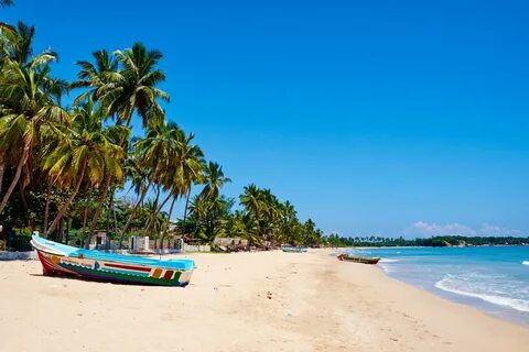 Trincomalee Bölgesi