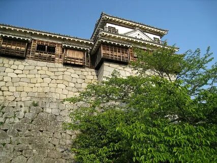 Ehime ili