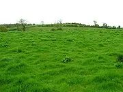 Fermanagh Bölge Konseyi
