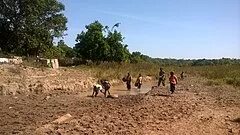 Sikasso Bölgesi