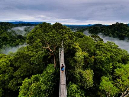 Temburong Bölgesi
