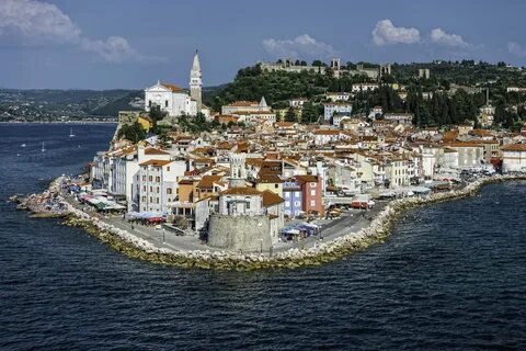 Koper Şehir Belediyesi