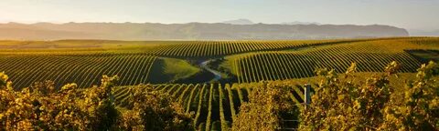 Marlborough Bölgesi