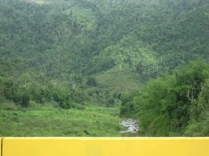 Morovis
