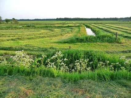 Drenthe