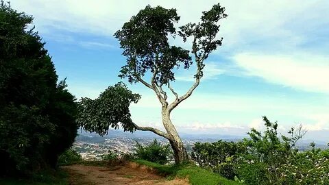 Fianarantsoa Eyaleti