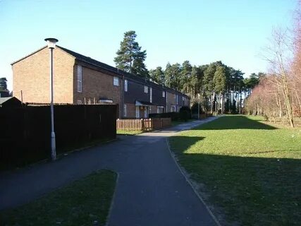 Bracknell Ormanı