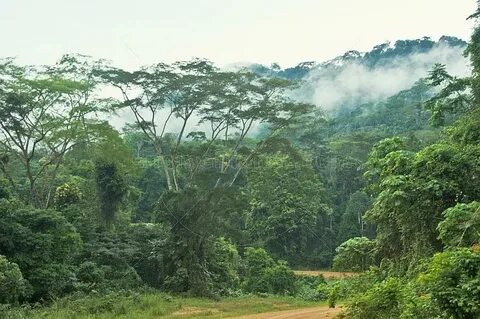 Moyen-Ogooué Eyaleti