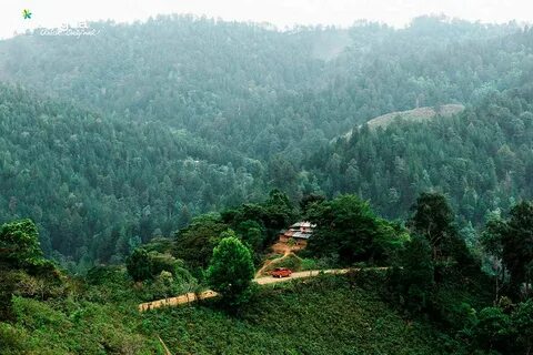 Jinotega