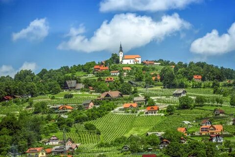 Sevnica Belediyesi