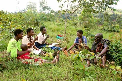 Kayanza Eyaleti