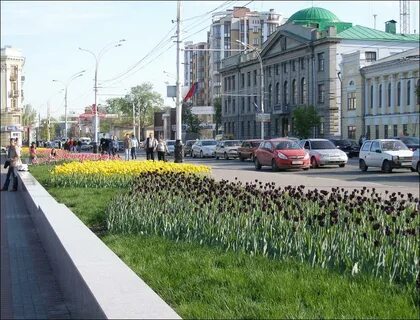 Tambov Oblastı