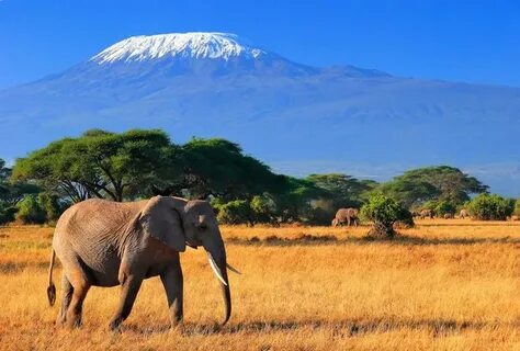 Mandera