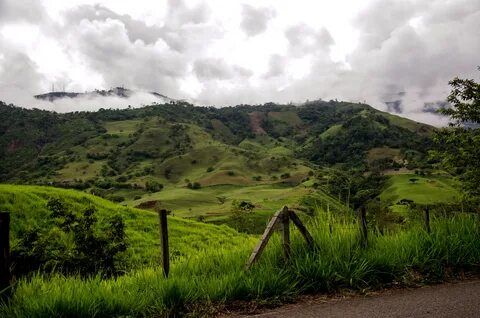 Tolima