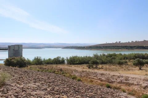 Siliana
