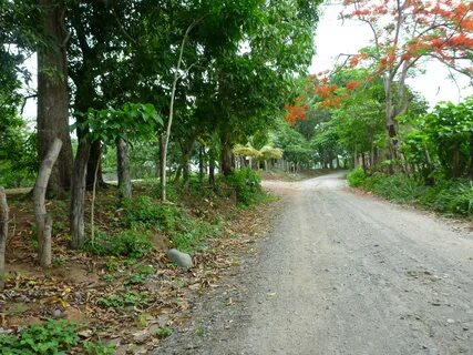 Guatemala Bölgesi