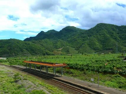 Pingtung