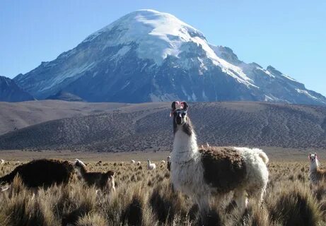 Oruro Departmanı