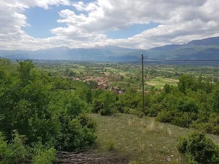Jegunovce Belediyesi