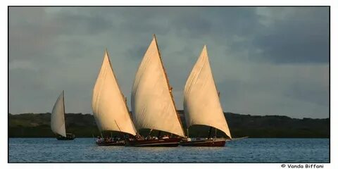 Lamu