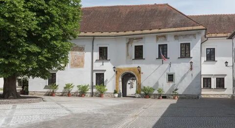 Radovljica Belediyesi