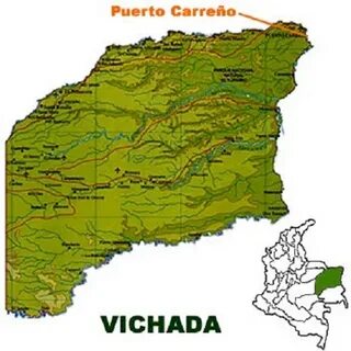 Vichada
