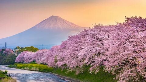 Nara İli