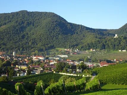 Slovenske Konjice Belediyesi