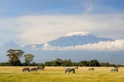 Kilimanjaro