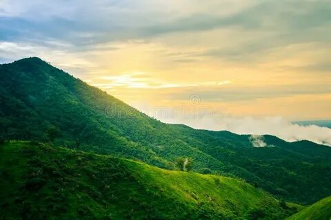 Phrae