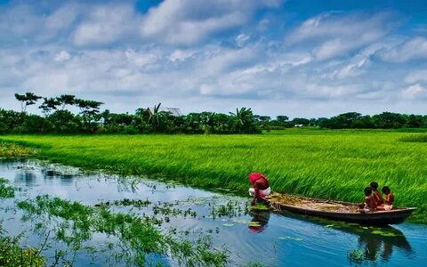 Sylhet Bölgesi