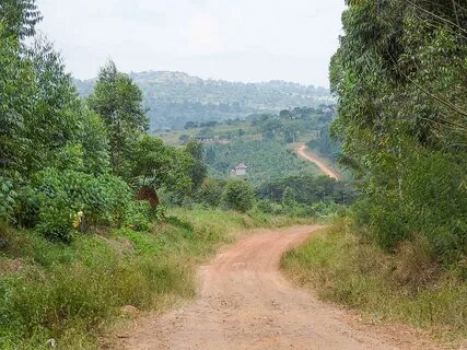 Mpigi Bölgesi