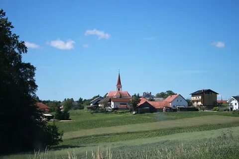 Sveti Tomaz Belediyesi