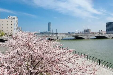 Niigata İli