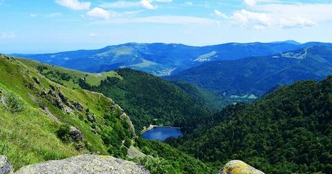Vosges